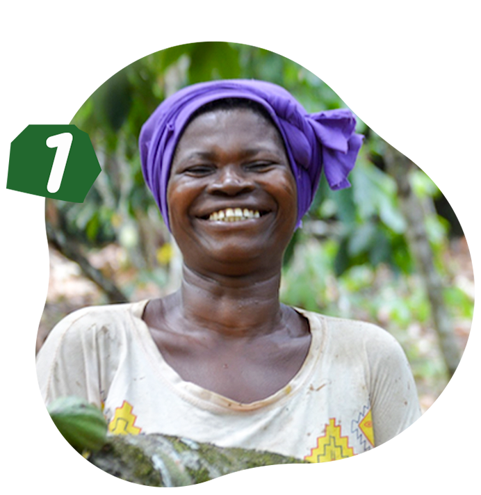 Empowering African Farmers